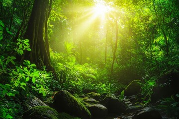 Obraz premium Rainforest ecosystem, forested mountain. Natural scenery tropical green forest.