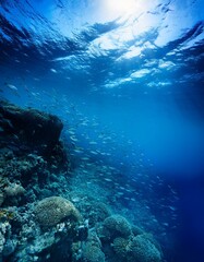 Obraz premium Generated image A blue ocean with fish swimming in it