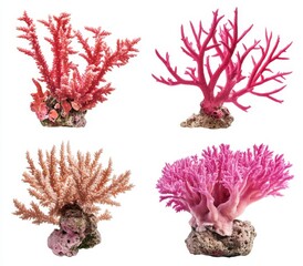 Four artificial coral reef decorations in pink and peach tones on white background.