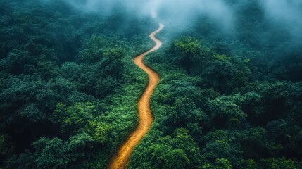 Aerial view of winding dirt road through lush green forest shrouded in mist.