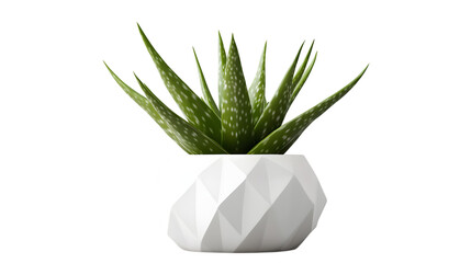 Fototapeta premium Green aloe vera plant in a white geometric planter, showcasing a minimalist design for contemporary spaces. Isolated on transparent background