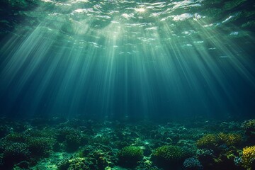 Nature blue spirulina underwater sea farm sunlight water ocean fish algae aquatic , isolated on white background,  , copy space, copy space for text,
