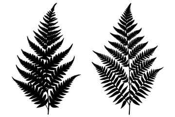 fern leaf black icon, fern leaf silhouette.