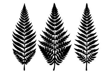 fern leaf black icon, fern leaf silhouette.