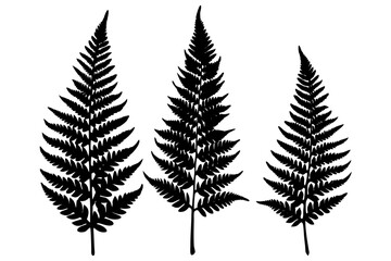 fern leaf black icon, fern leaf silhouette, vector stock illustration.