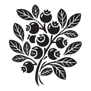 Blueberry Silhouette Vector Illustration, Solid White Background.