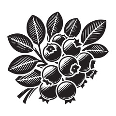 Blueberry Silhouette Vector Illustration, Solid White Background.