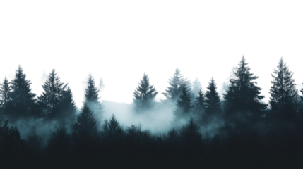Landscape of a foggy coniferous forest, transparent background