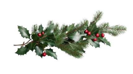 Festive holly branch with red berries on a transparency background christmas decor nature studio close-up holiday concept