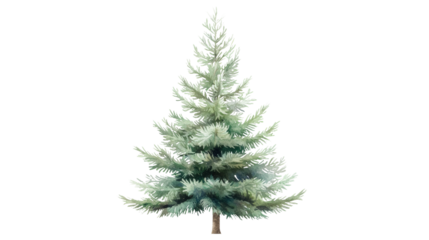 Lush evergreen tree illustration nature digital art transparency background isolated view eco-friendly concept