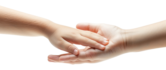 PNG Child and adult hands touching