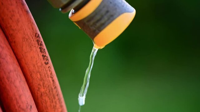water dripping from hose, gardening, watering plants, saving water, with copy space