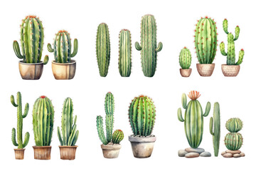 Cactus Collection Watercolor Collection Bundle Set Isolated on a Transparent Background