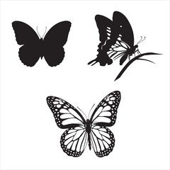 set of vector icon various butterfly silhouette	
