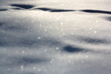 snow covered tree branches in a park