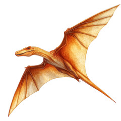 Fototapeta premium A beautifully illustrated pterosaur flying gracefully against a transparent background, showcasing detailed design and vibrant colors.