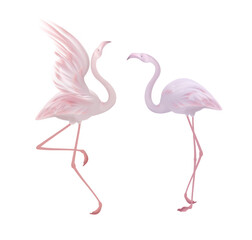 Vector flamingo collection, beautiful exotic tropical bird, pink and coral red trendy colors, isolated on white.	
