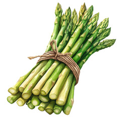 A fresh bunch of green asparagus tied with twine, showcasing vibrant colors and textures, perfect for healthy cooking and vibrant dishes.