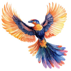 Fototapeta premium A vibrant, colorful bird with large wings, showcasing intricate feather patterns in shades of orange, blue, and yellow, white isolate background.