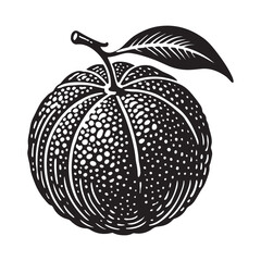 Clementine Silhouette Vector Illustration, Solid White Background.