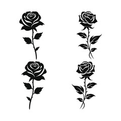 Obraz premium set of roses vector