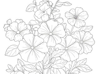 Fototapeta premium Petunia flowers line drawing, perfect for a coloring book, simple and elegant. 