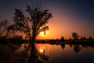 Beautiful summer sunset with tree silhouette by the lake.