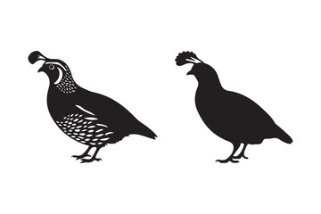Quail Bird Silhouette Illustration for Wildlife Design