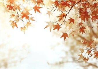 Fototapeta premium Autumn leaves gently rustle in a serene natural setting during golden hour light
