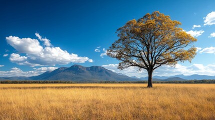 Fototapeta premium Golden tree stands alone in vast grassy landscape with mountains in background during bright daylight