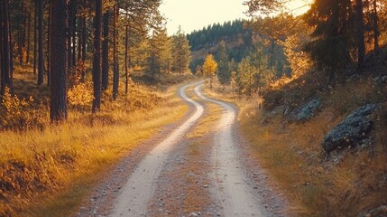 Obraz premium slow life relaxation concept. A winding dirt path surrounded by trees in a serene autumn landscape.