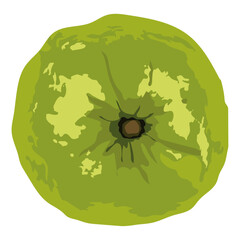  Top view fresh guava fruit, Top view of fresh red guava.