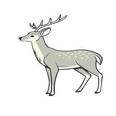 deer vector illustration