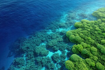 Fototapeta premium Vibrant Aerial View of Coral Reef and Turquoise Water Surface
