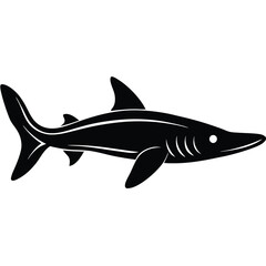Fototapeta premium Shovelnose sturgeon silhouette on white background