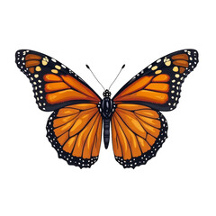 Illustration of a butterfly with orange wings and black spots