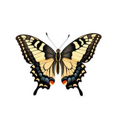 Fototapeta premium Yellow, black blue butterfly in flight