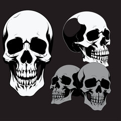 Fototapeta premium Skull skeleton vector design in different styles with solid background