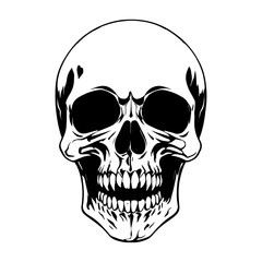 Skull skeleton vector design in different styles with solid background
