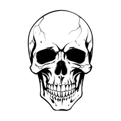 Fototapeta premium Skull skeleton vector design in different styles with solid background