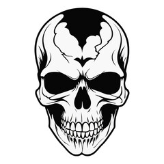 Skull skeleton vector design in different styles with solid background
