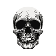 Skull skeleton vector design in different styles with solid background