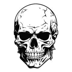 Fototapeta premium Skull skeleton vector design in different styles with solid background