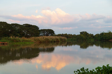 Serene lake reflecting delicate clouds