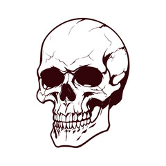 Skull skeleton vector design in different styles with solid background