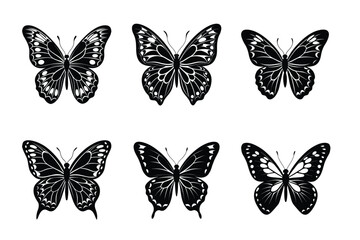 Collection of butterfly silhouettes illustration