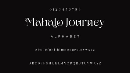 Elegant alphabet letters logo font and number. Luxury Classic Modern Serif Lettering Minimal Fashion. Typography decoration fonts for branding, wedding, logos. vector illustration