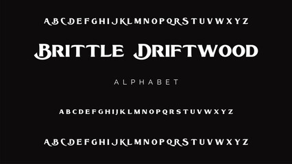 Elegant alphabet letters logo font and number. Luxury Classic Modern Serif Lettering Minimal Fashion. Typography decoration fonts for branding, wedding, logos. vector illustration