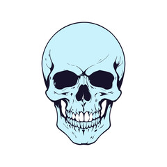 Fototapeta premium Skull skeleton vector design in different styles with solid background