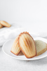 vanilla madeleines on a white plate, plain french vanilla madeleine cake or cookies	